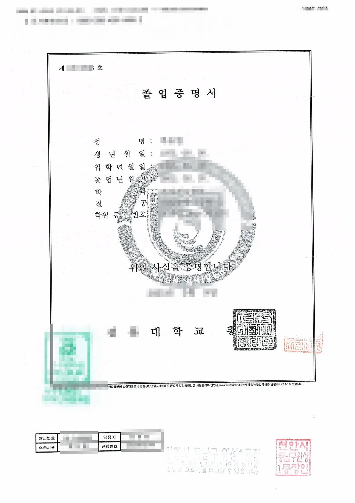중국 대학 제출용으로 준비한 국문 졸업증명서 원본, 학과와 전공 학위등록번호 항목이 표기된 인증 대상 서류